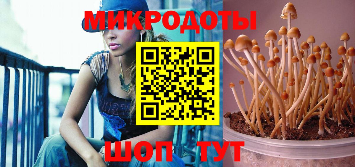 Щёлково  Галлюциногенные грибы MAGIC MUSHROOMS  Вход с VPN 