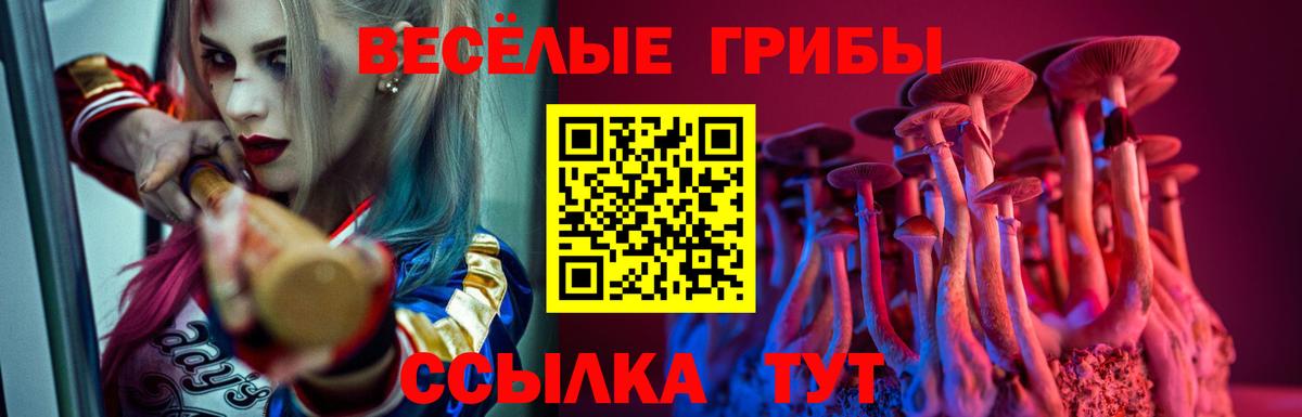 Галлюциногенные грибы прущие грибы Щёлково